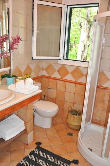 Villa Erietta Near Lefkas Center Apolpaina Exteriér fotografie