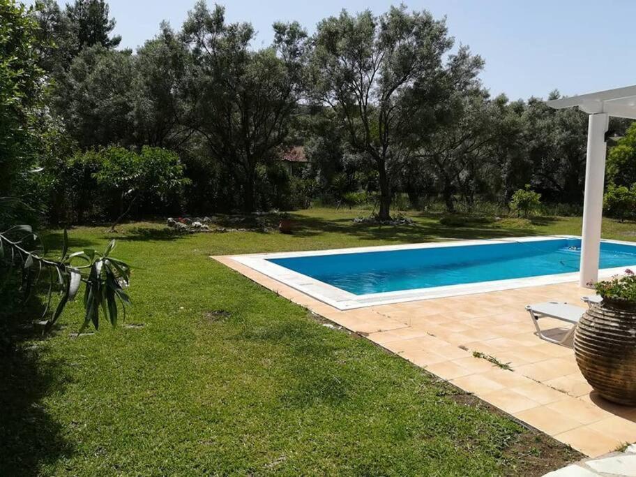 Villa Erietta Near Lefkas Center Apolpaina Exteriér fotografie