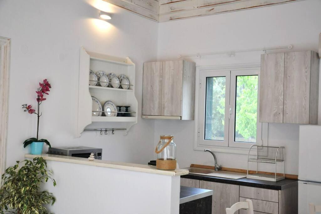 Villa Erietta Near Lefkas Center Apolpaina Exteriér fotografie