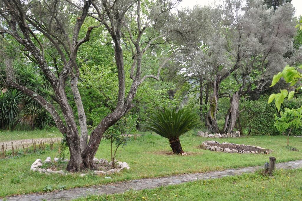 Villa Erietta Near Lefkas Center Apolpaina Exteriér fotografie